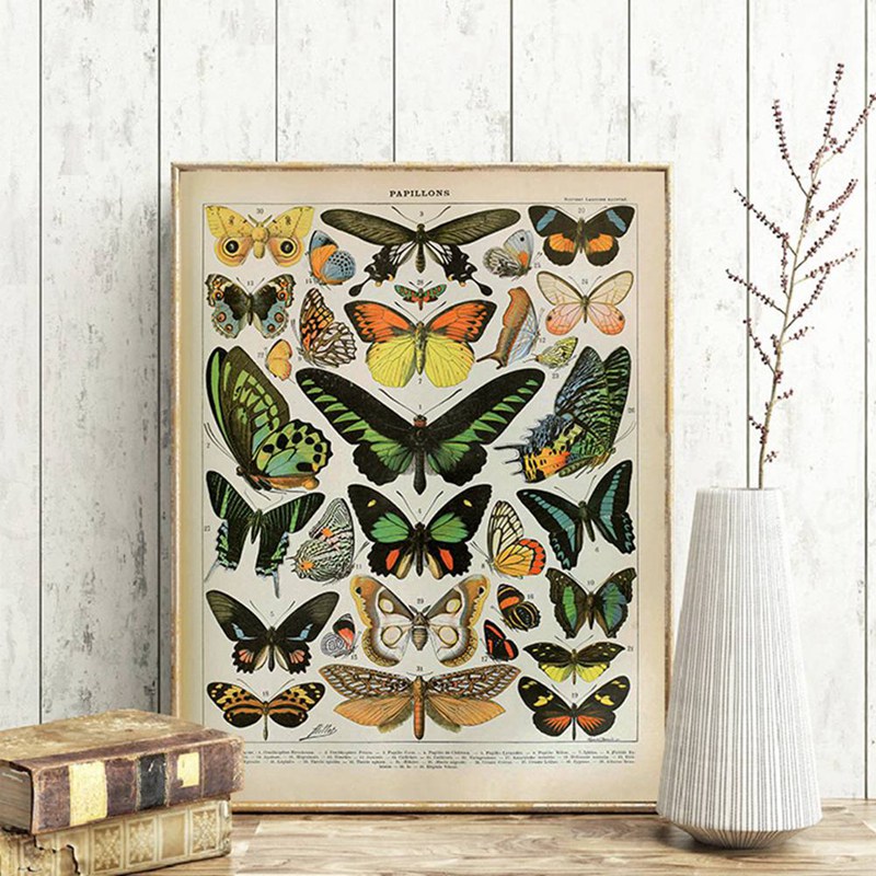 Vintage Adolphe Millot Encyclo - Home Cinema Wall Art review and price